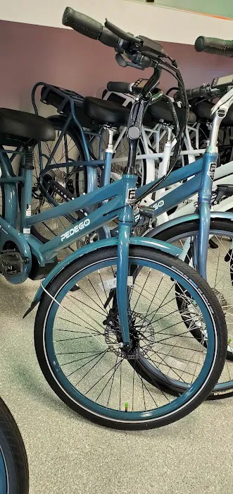 Pedego Electric Bikes Dunedin Picture 5
