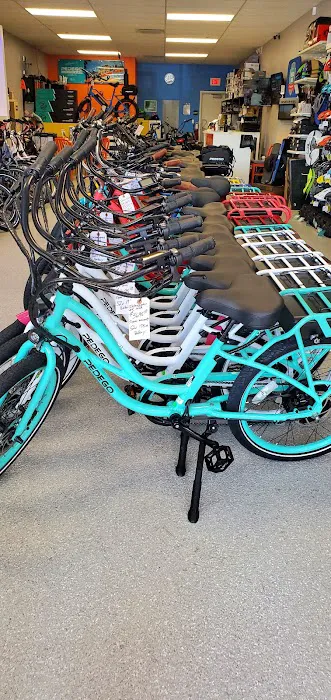 Pedego Electric Bikes Dunedin Picture 3