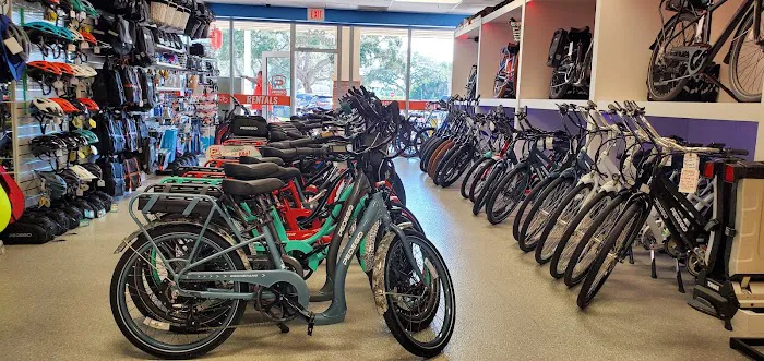 Pedego Electric Bikes Dunedin Picture 2