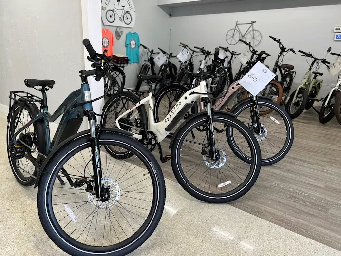 Electric Spinz Electric Bike Rentals and Sales Picture 3