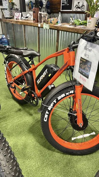 American Iron Cycles - Electric Bikes & Electric Scooters Lakeland Picture 6