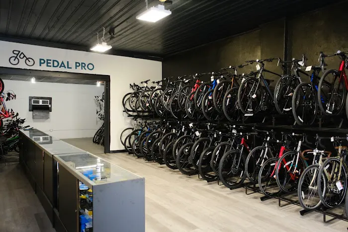 Pedal Pro Bicycles Picture 5