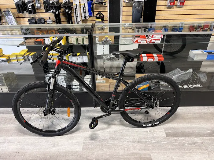 Pedal Pro Bicycles Picture 7