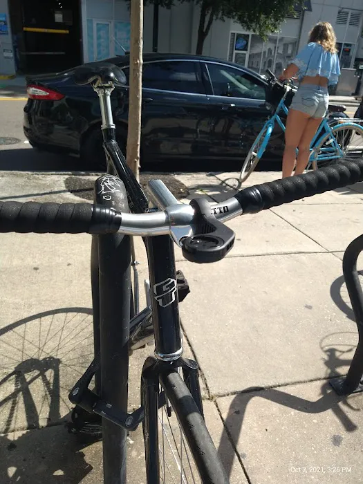 City Bike Tampa Picture 9