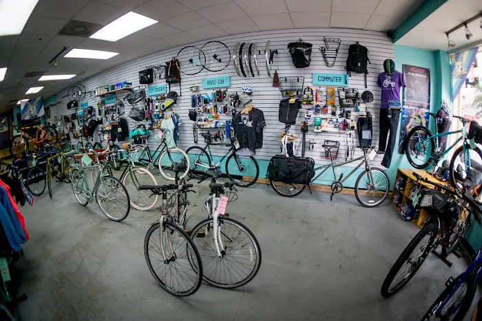 City Bike Tampa Picture 10