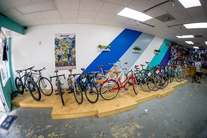 City Bike Tampa Picture 8