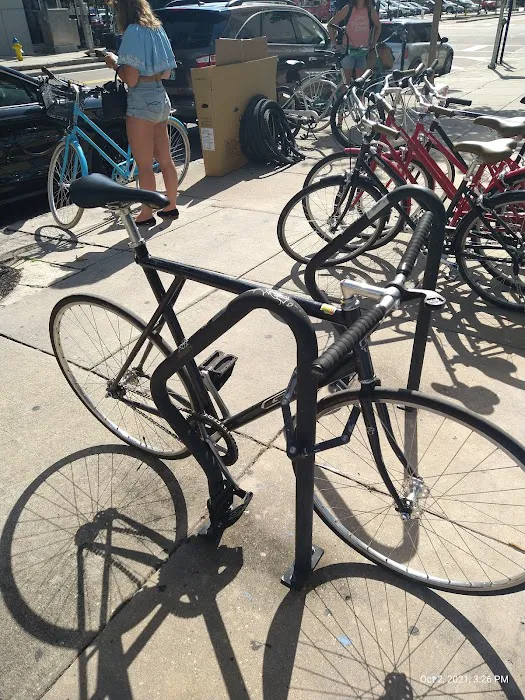 City Bike Tampa Picture 4