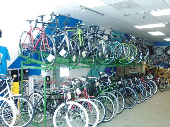 City Bike Tampa Picture 6