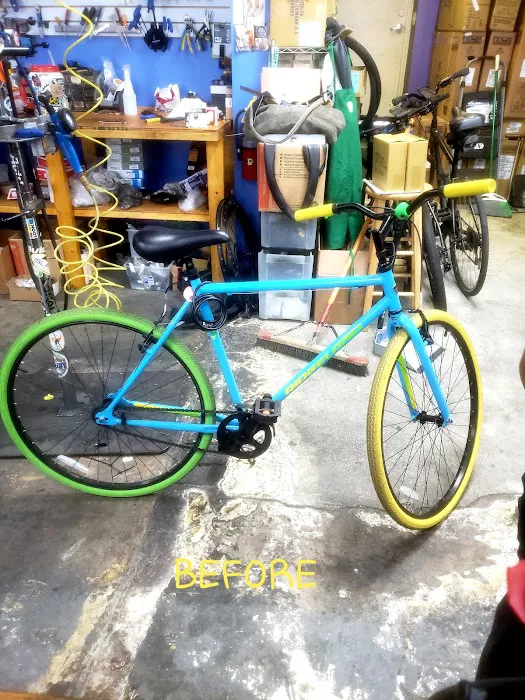 City Bike Tampa Picture 7