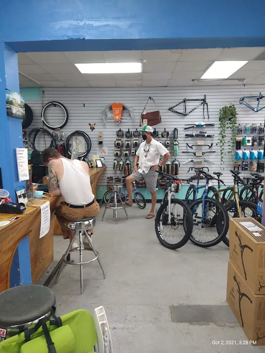 City Bike Tampa Picture 3