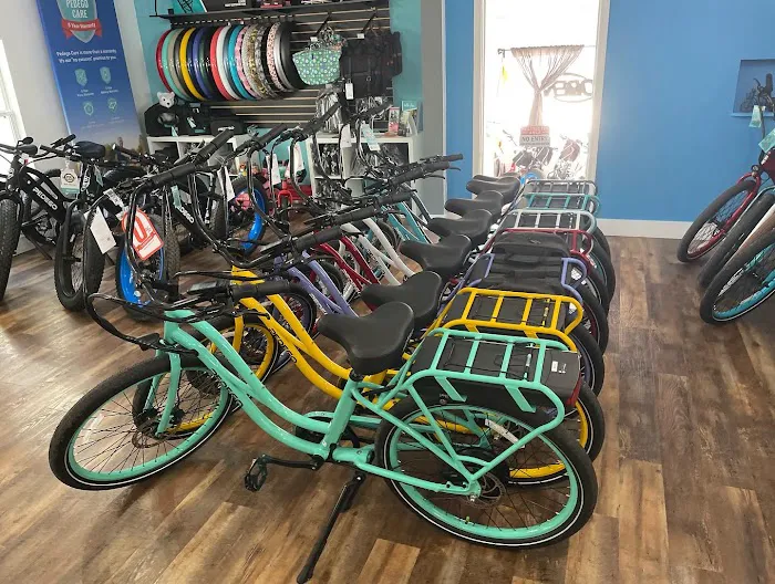 Pedego Electric Bikes Tampa Picture 2