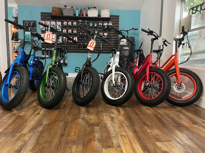 Pedego Electric Bikes Tampa Picture 3