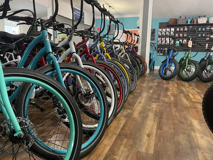 Pedego Electric Bikes Tampa Picture 8