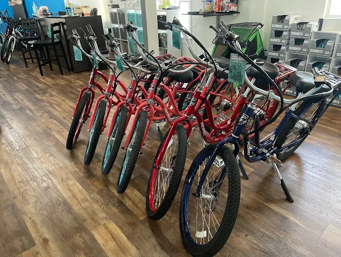 Pedego Electric Bikes Tampa Picture 6