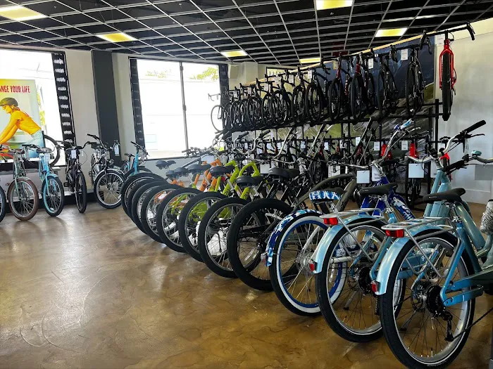 Trek Bicycle Tampa South Picture 3