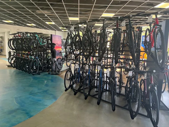 Trek Bicycle Tampa South Picture 4