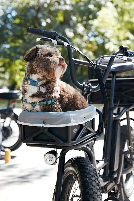 Ride On E-Bikes Picture 7