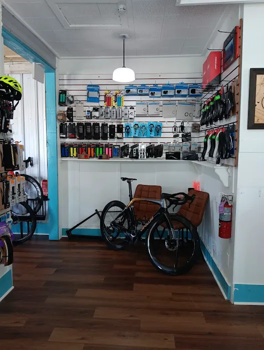 The Bike Lab Picture 4