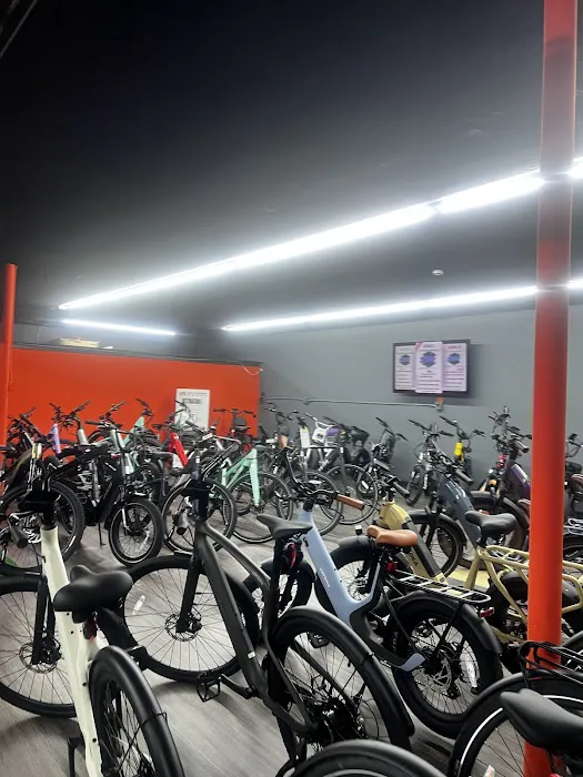 Tampa Bay eBikes Picture 2