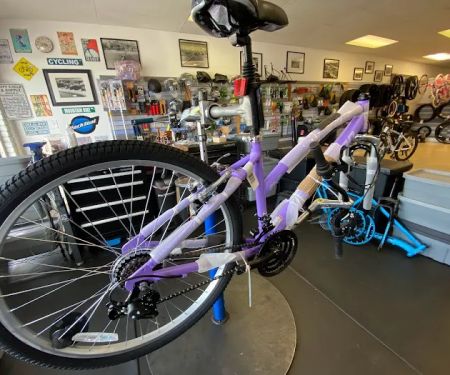 The Bike Shop