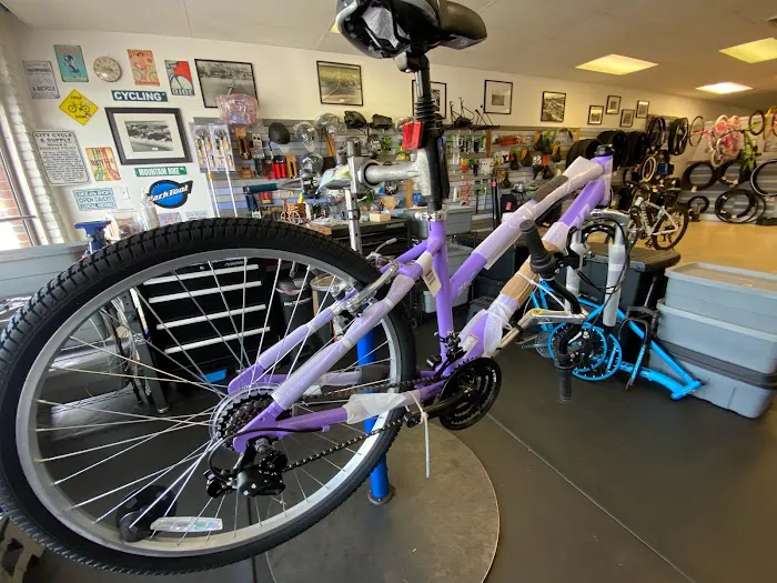 The Bike Shop Picture 9