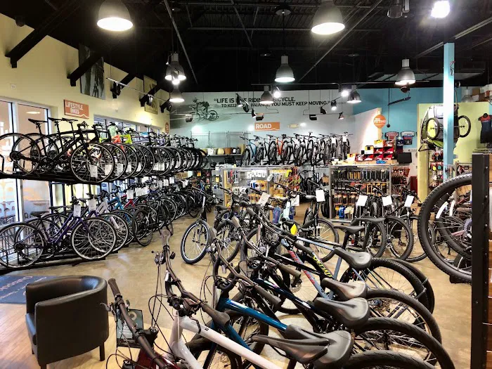 Outspokin Bicycles Clearwater Picture 4