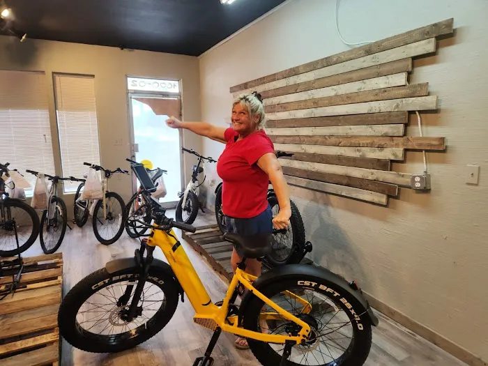 Electrified E-Bikes Picture 3