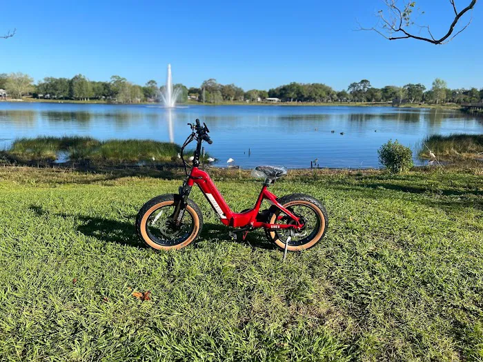 Electrified E-Bikes Picture 8