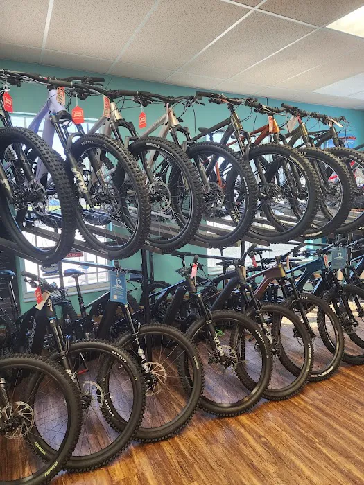 AJ's Bikes, LLC Picture 6