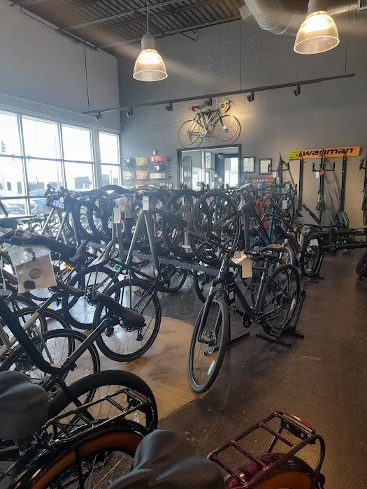 Polk Cycles Picture 6