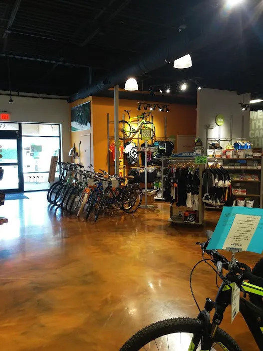 Outspokin Bicycles Tampa Picture 4