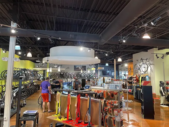 Outspokin Bicycles Tampa Picture 7