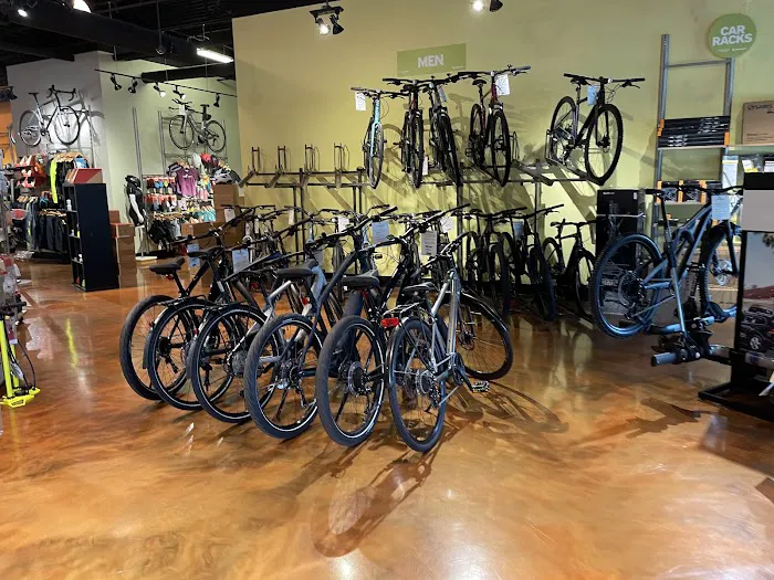 Outspokin Bicycles Tampa Picture 6