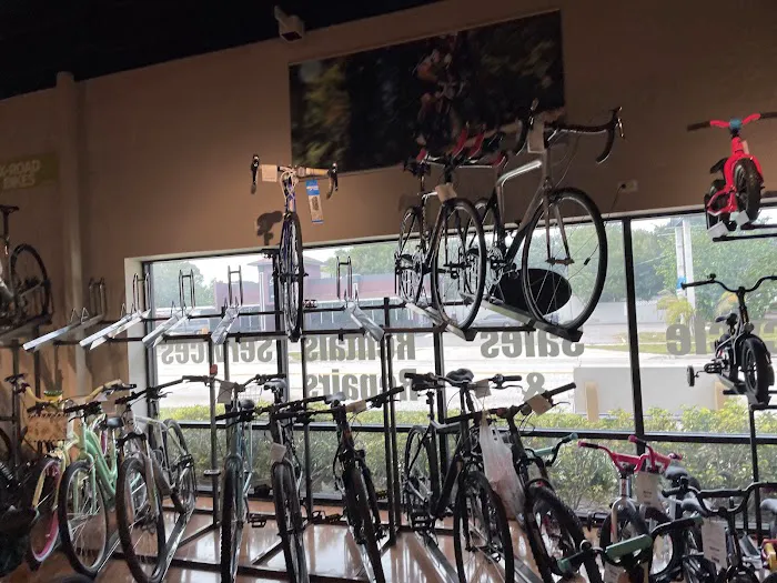 Outspokin Bicycles Tampa Picture 9