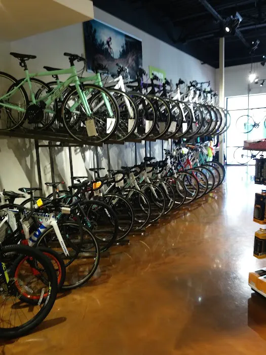 Outspokin Bicycles Tampa Picture 1