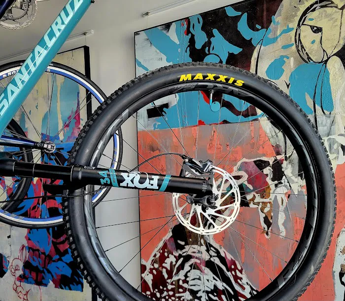 South Tampa Bicycle Co Picture 5
