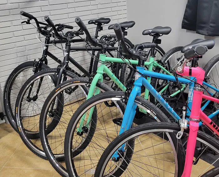 South Tampa Bicycle Co Picture 2