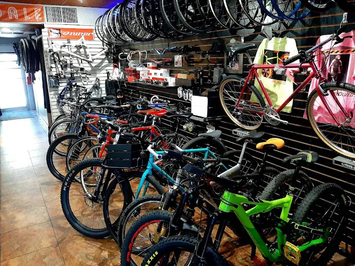 South Tampa Bicycle Co Picture 7