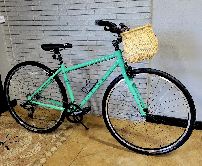 South Tampa Bicycle Co Picture 3