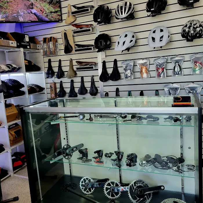 South Tampa Bicycle Co Picture 9