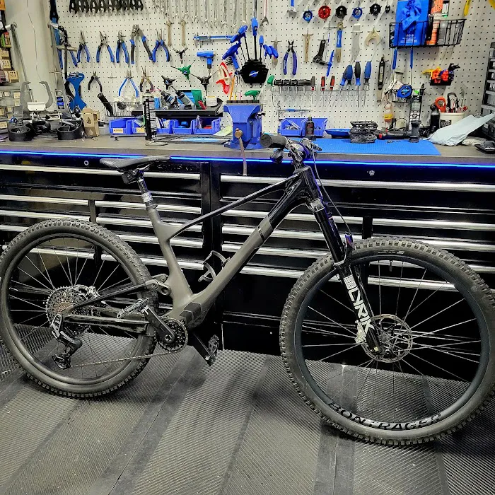 South Tampa Bicycle Co Picture 4