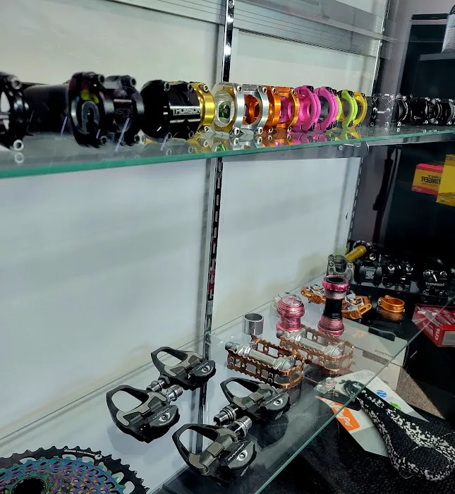 South Tampa Bicycle Co Picture 8