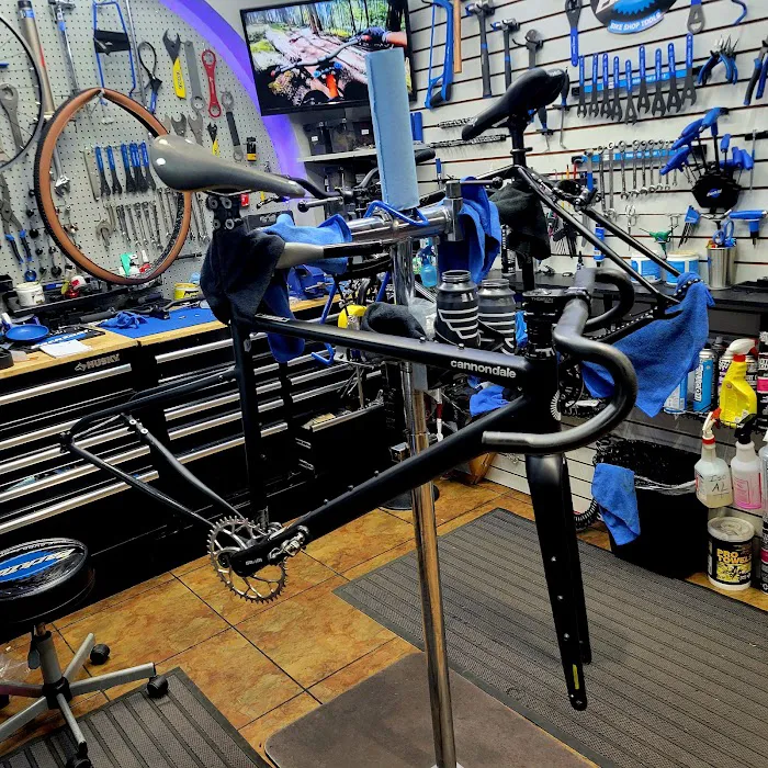 South Tampa Bicycle Co Picture 10