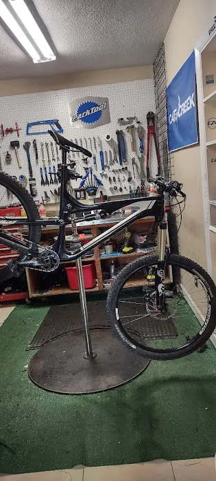 Dino's Bicycles Picture 1
