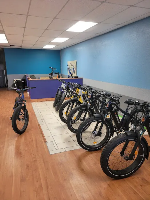 Electric Riders Picture 1