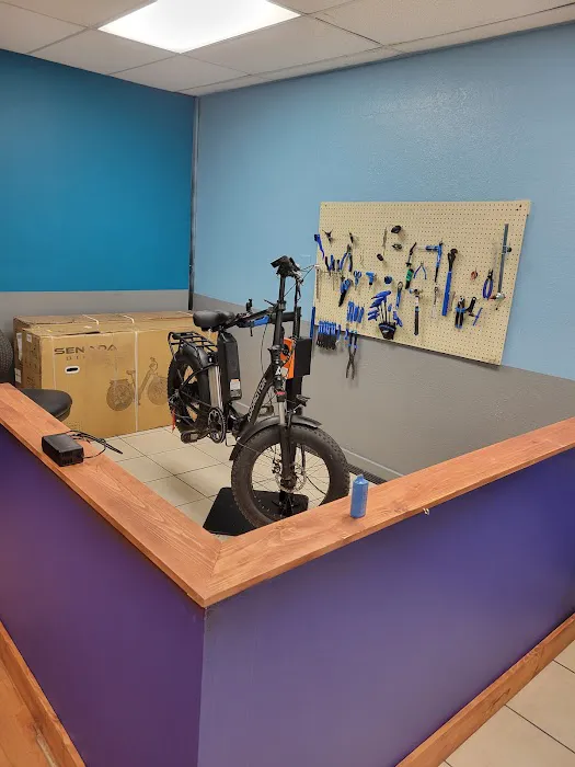 Electric Riders Picture 2