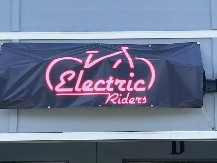 Electric Riders Picture 3