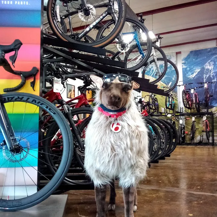 Trek Bicycle Seminole Picture 5