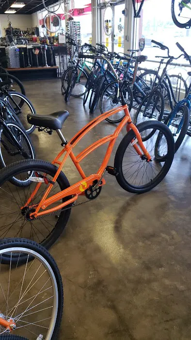 Trail Sport Bicycles Picture 4