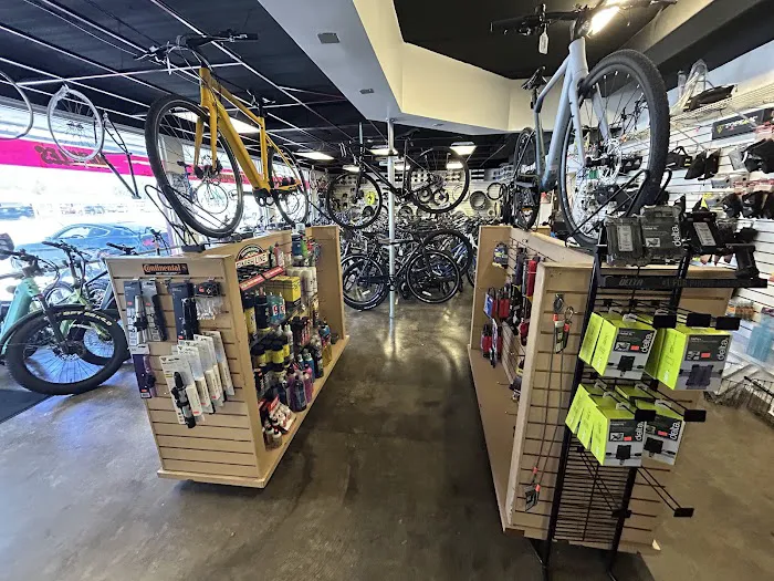 Trail Sport Bicycles Picture 3